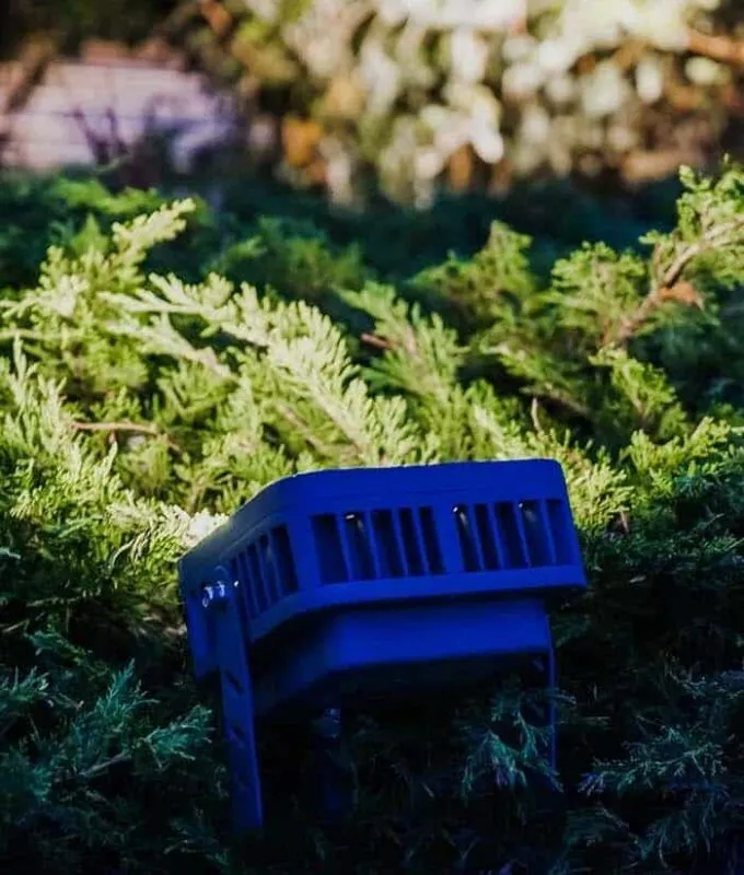 Compact flood light fixture set into low shrubs, ready to light a side yard