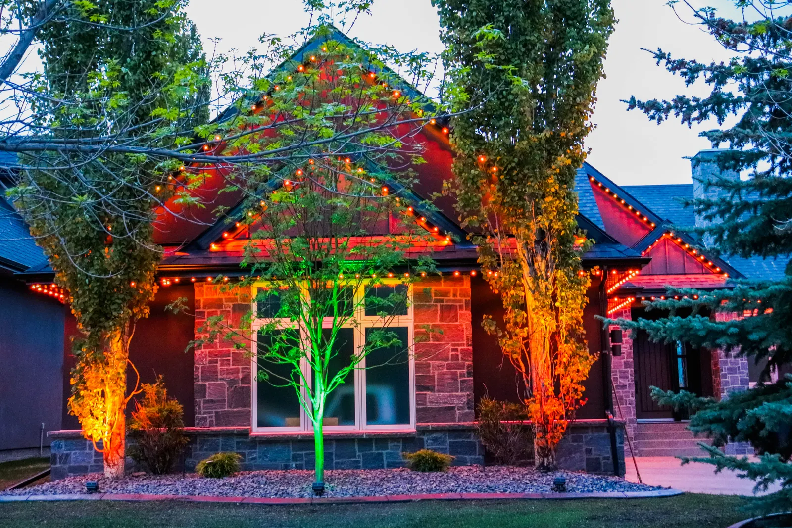 Ultimate Smart Flood Lights Guide: Lighting Your Way